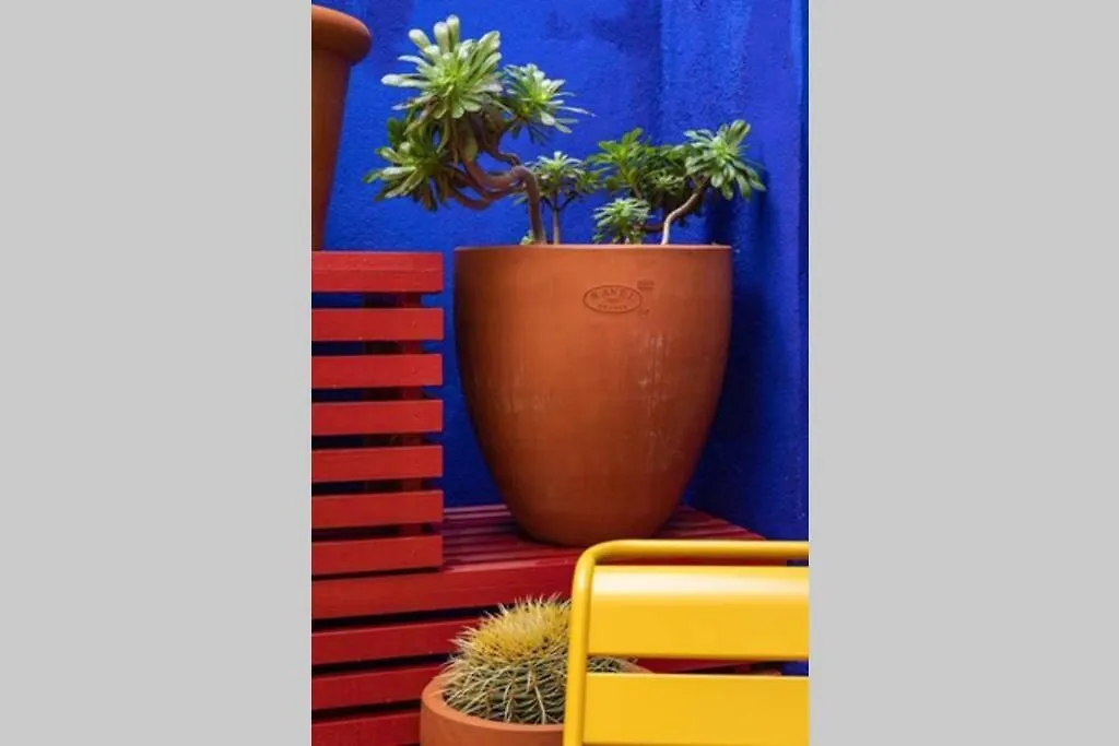 Appartement 5*, Climatise, Avec Terrasse Au Quartier Le Panier Marsilya